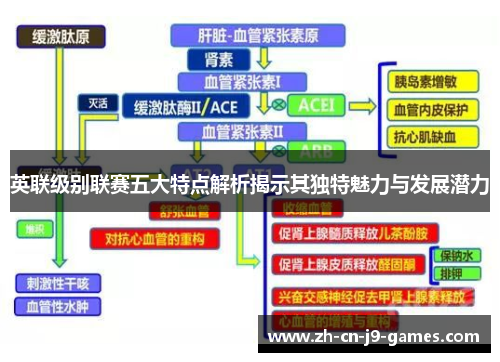 英联级别联赛五大特点解析揭示其独特魅力与发展潜力 英联级别联赛五大特点解析揭示其独特魅力与发展潜力